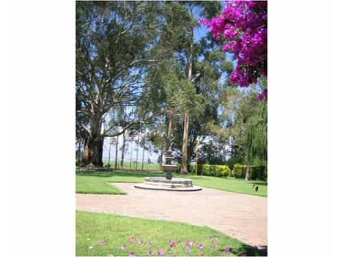 Fuente en el jardín