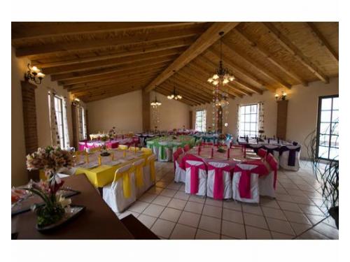 Elige el color de tu mantelería