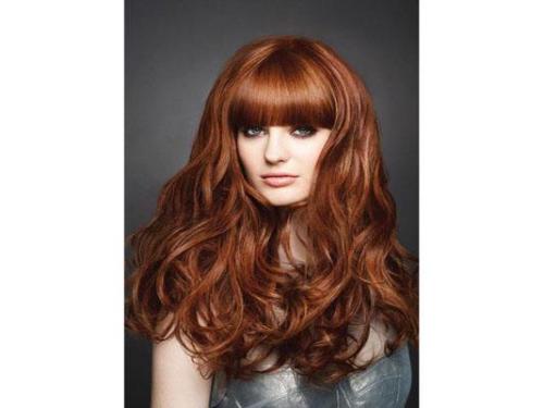 Amplia experiencia para asesorarte