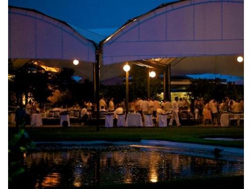 Excelentes fotografías