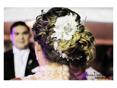 Annie dessommes photography