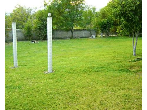 Enorme jardín para ambientar