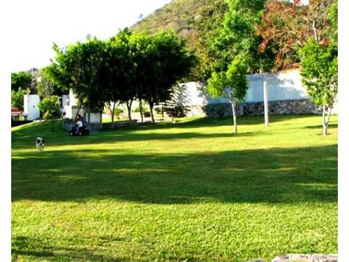 Hermosos rincones dentro del jardín
