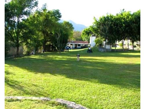 Jardines excelentemente cuidados y con buen mantenimiento