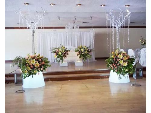 Decoraciones profesionales
