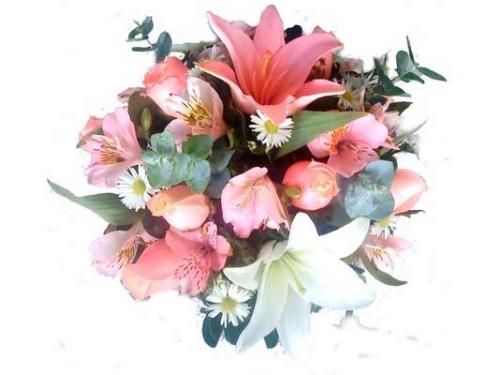 Larga experiencia en ayudar a las parejas