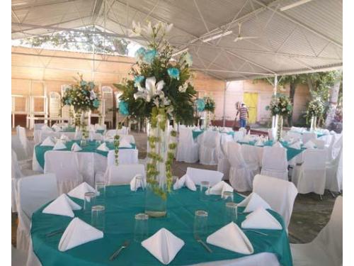 Desarrollo y organización de todos los detalles