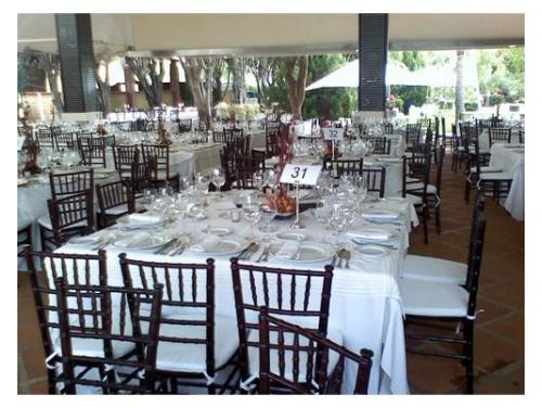 Todos nuestros servicios con la mejor calidad