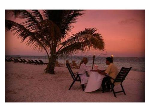 Cena romántica en la playa