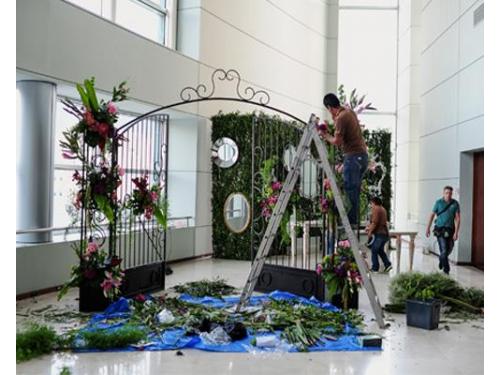 Organización de tu boda