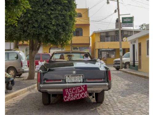 captando los mejores momentos