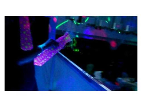 Diversión a lo grande