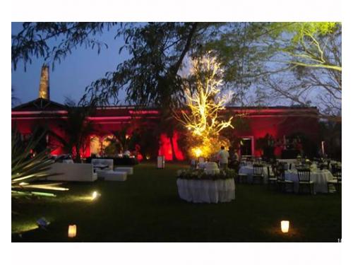 Iluminación en jardín