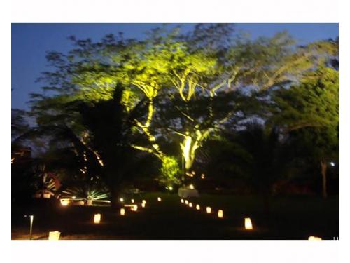 Iluminación en camino de entrada