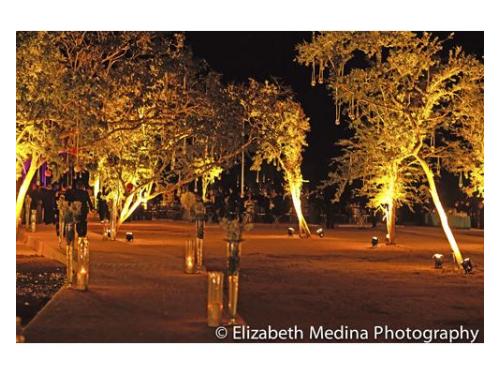 Iluminando el camino