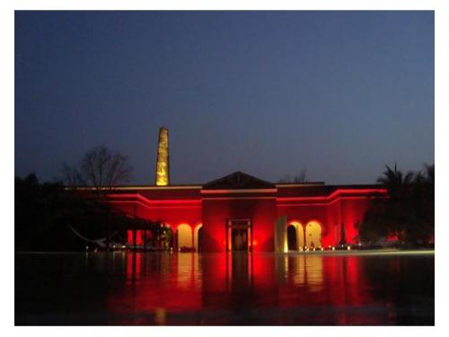 Iluminación en árboles