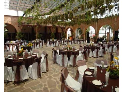 Montaje café con blanco