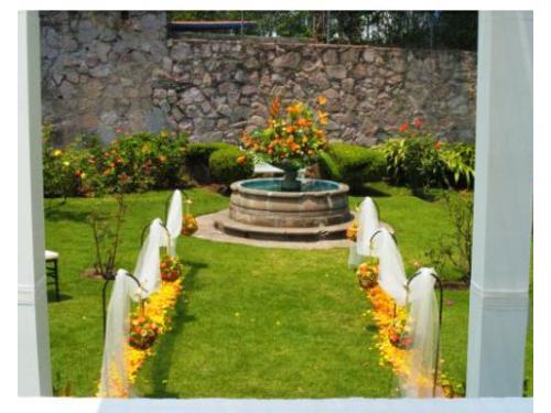 Decoraciones con flores naturales