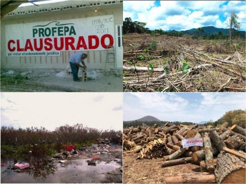 estudios de daños ambientales
