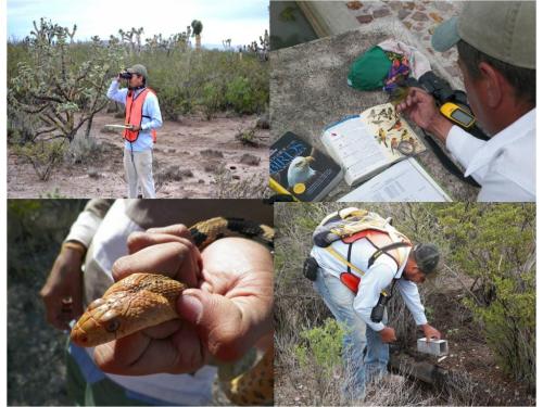 Rescate de Flora y Fauna Silvestre