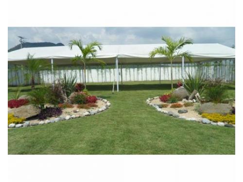 Modulo para tu recepción