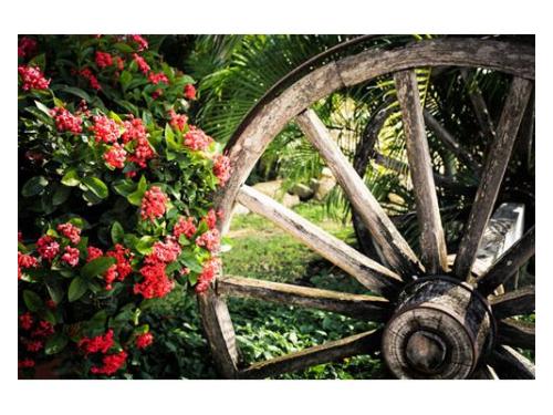 Decoración del espacio