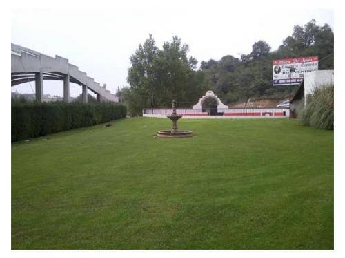 Los azulejos cuentan con grandiosos espacios