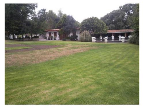 Un lugar perfecto para tu boda