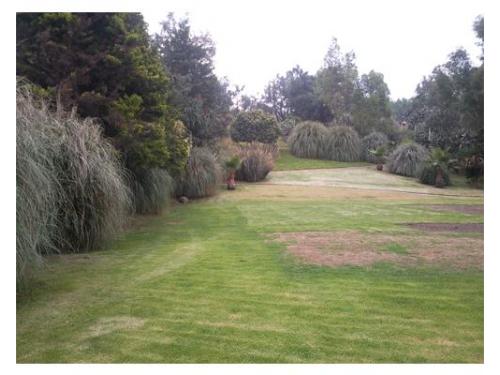 Un lugar rodeado de vegetación