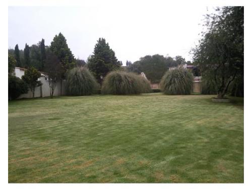 Los azulejos harán de tu evento algo inolvidable