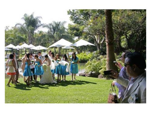 Novios con damas y padrinos