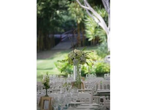 Fina cristalería para tu montaje