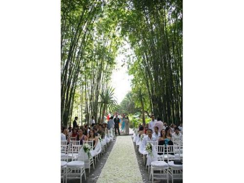 Camino de pétalos para ceremonia