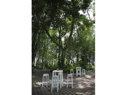 Mesas y sillas periqueras