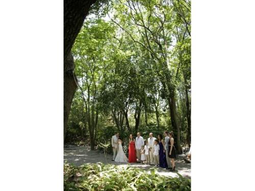 Novios y familiares en jardín huayacán