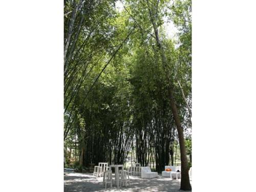 Un lugar único para tu boda