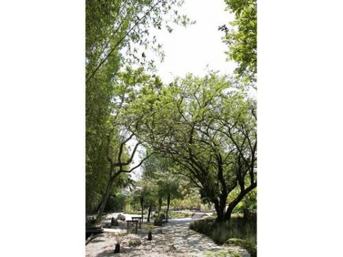 Rodeado de naturaleza