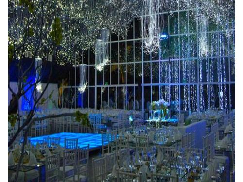 Crean momentos únicos