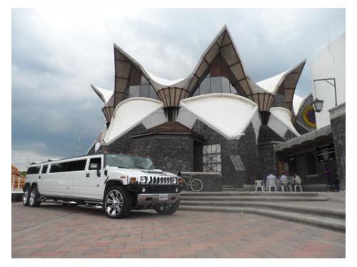 Chóferes profesionales