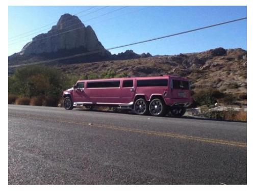 Disfruta de un gran paseo