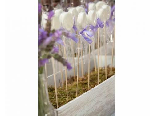 Elegante presentación