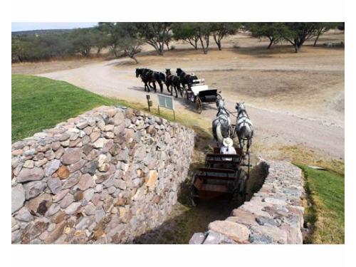 Servicio de carruajes