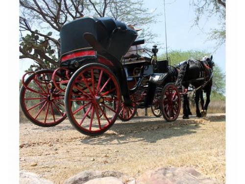 Carruajes para bodas
