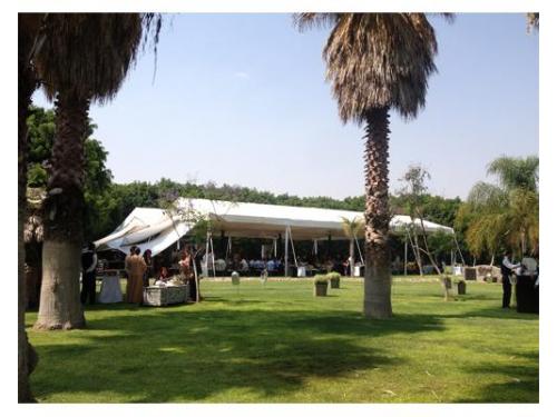 Vista completa del evento