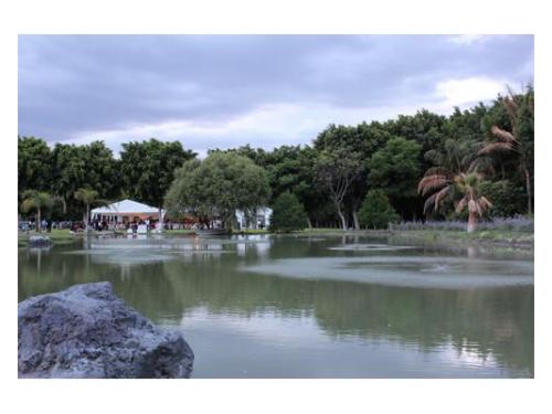 Montaje junto al lago