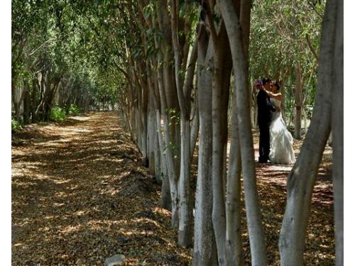 Veredas  románticas