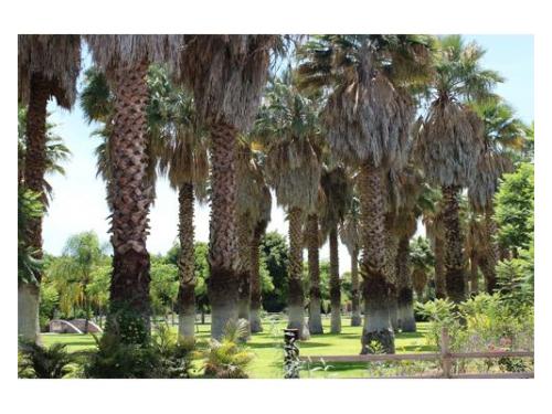 Amplias instalaciones