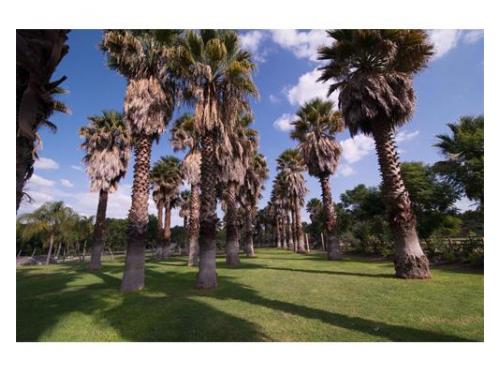 Jardines en perfectas condiciones