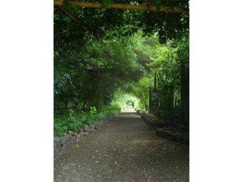 Un lugar único para tu boda