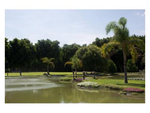 Rodeado de naturaleza